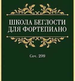 Черни школа беглости
